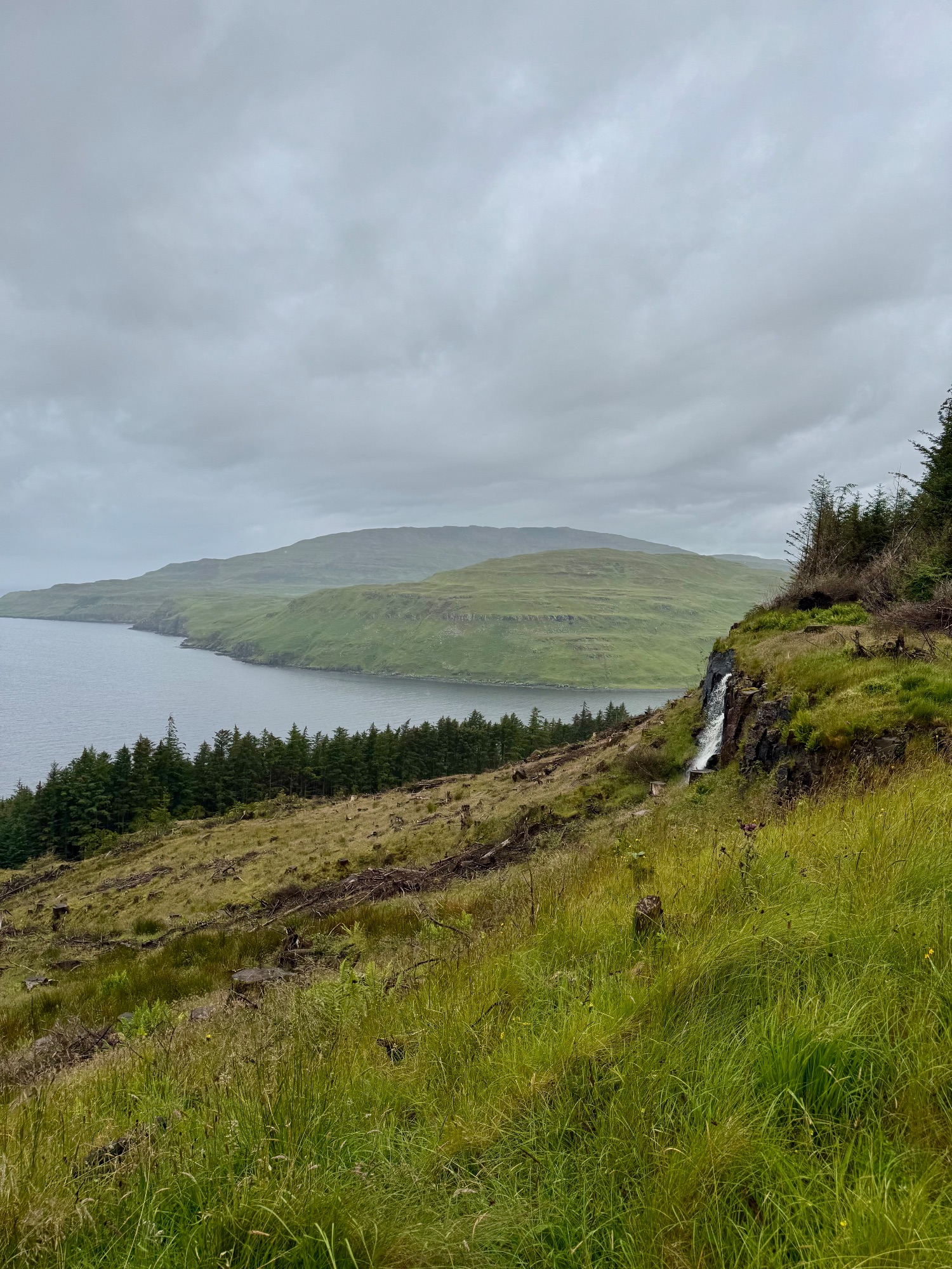 Eynort loop