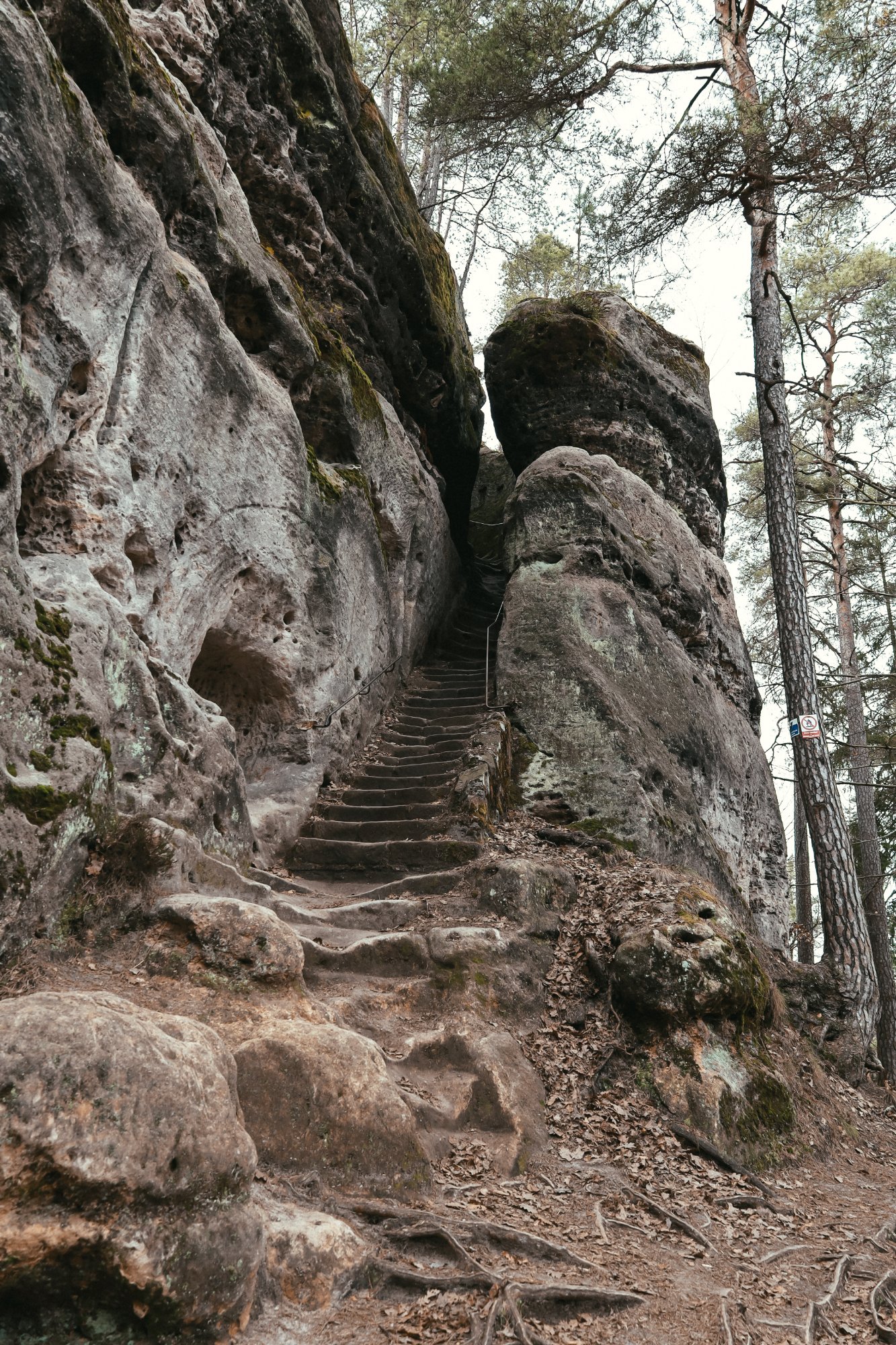 Okolí Hamru na Jezeře (Děvín, Stohánek)