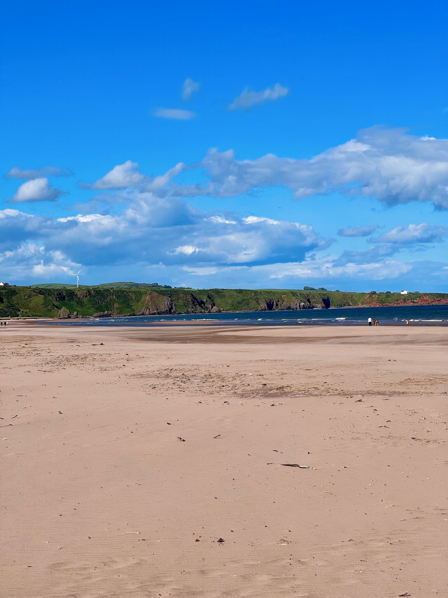 St Cyrus National Nature Reserve