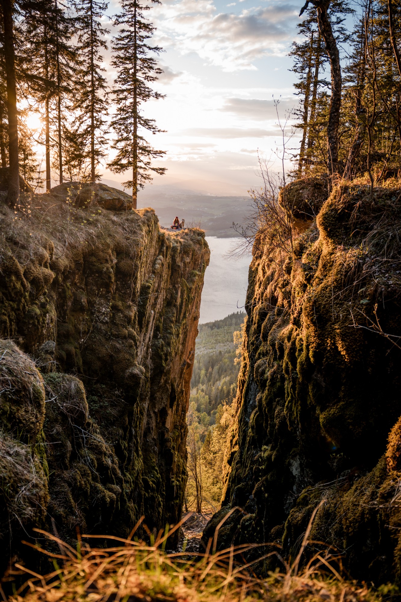 Mørkgonga a Gyrihaugen