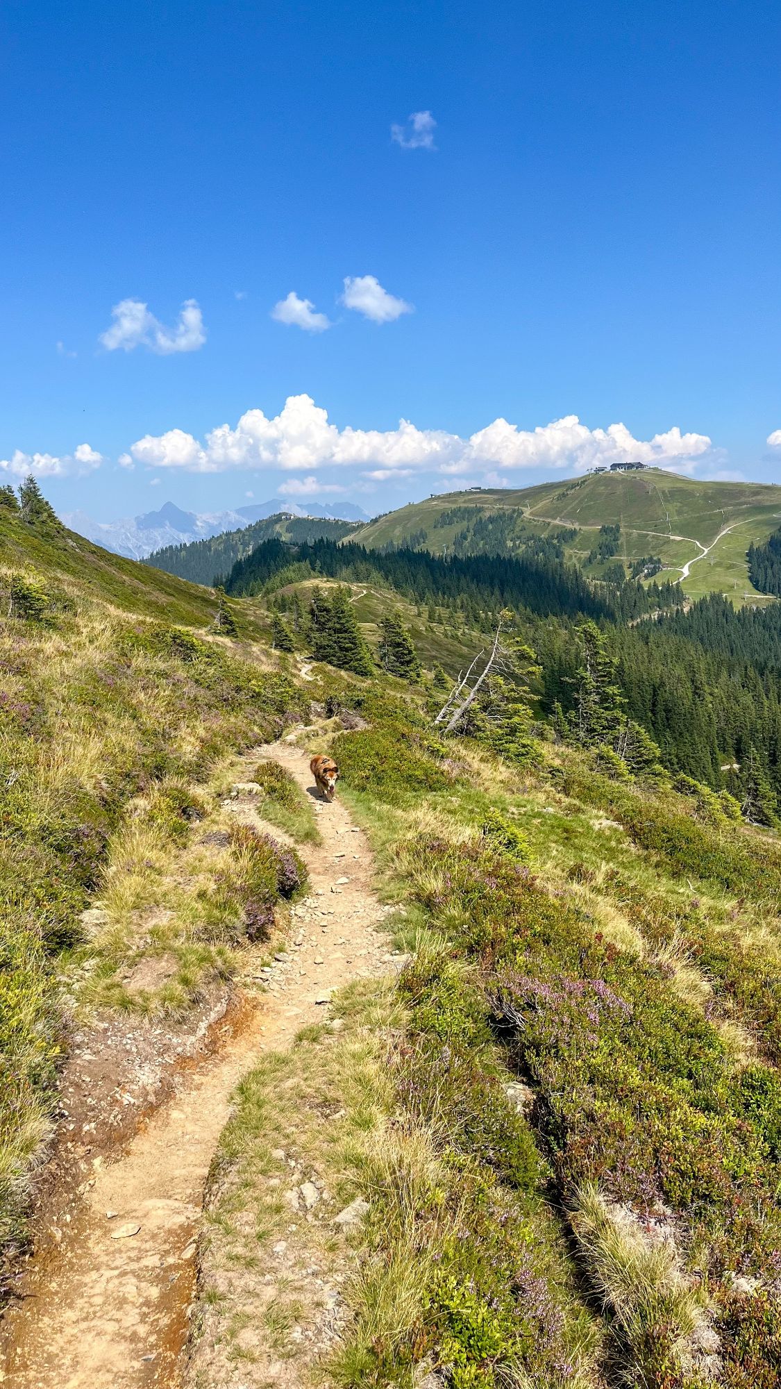 Panoramatická hřebenovka přes Schmittenhöhe na Maurerkogel