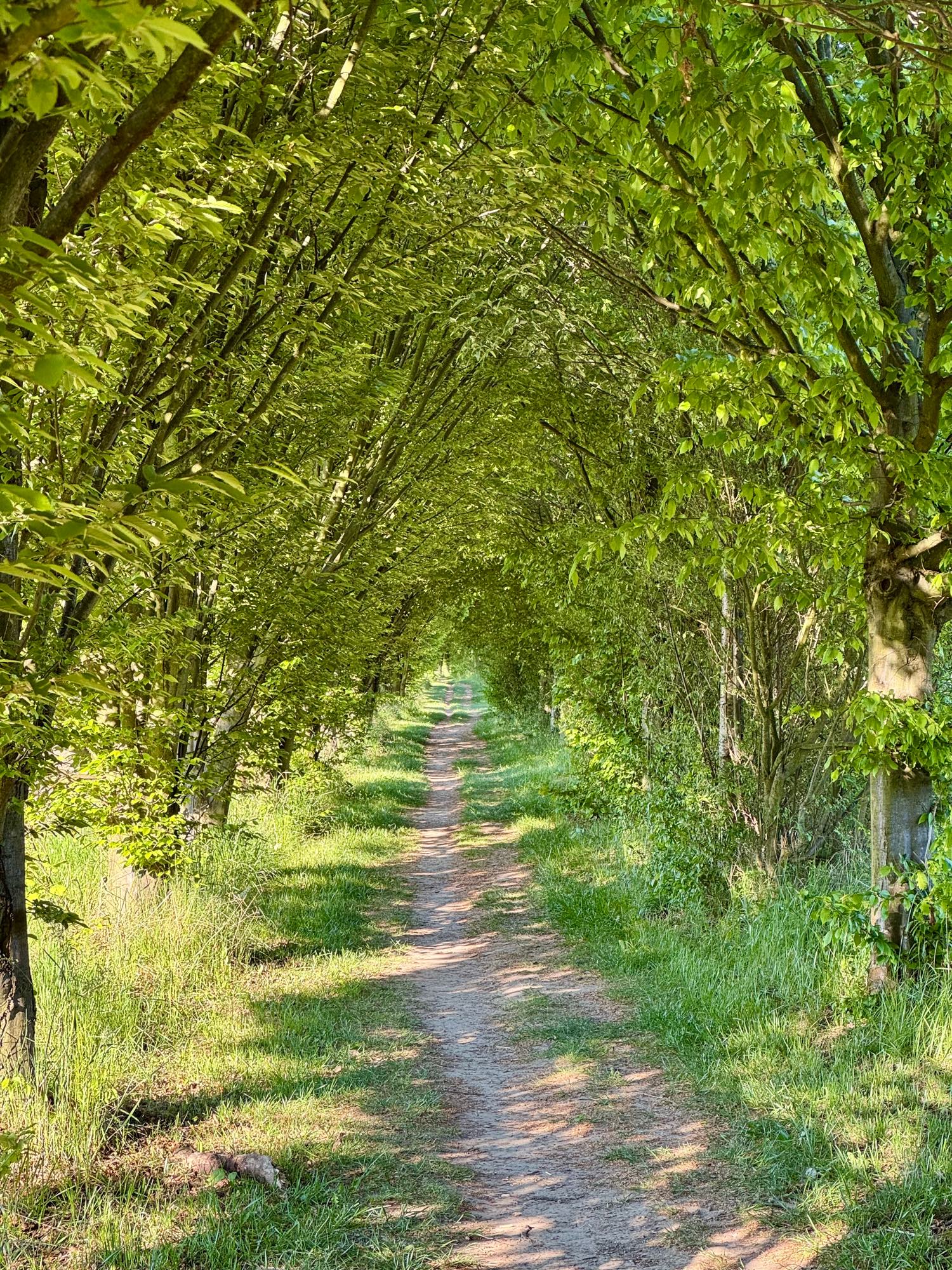 Kolovraty - procházka po okolí