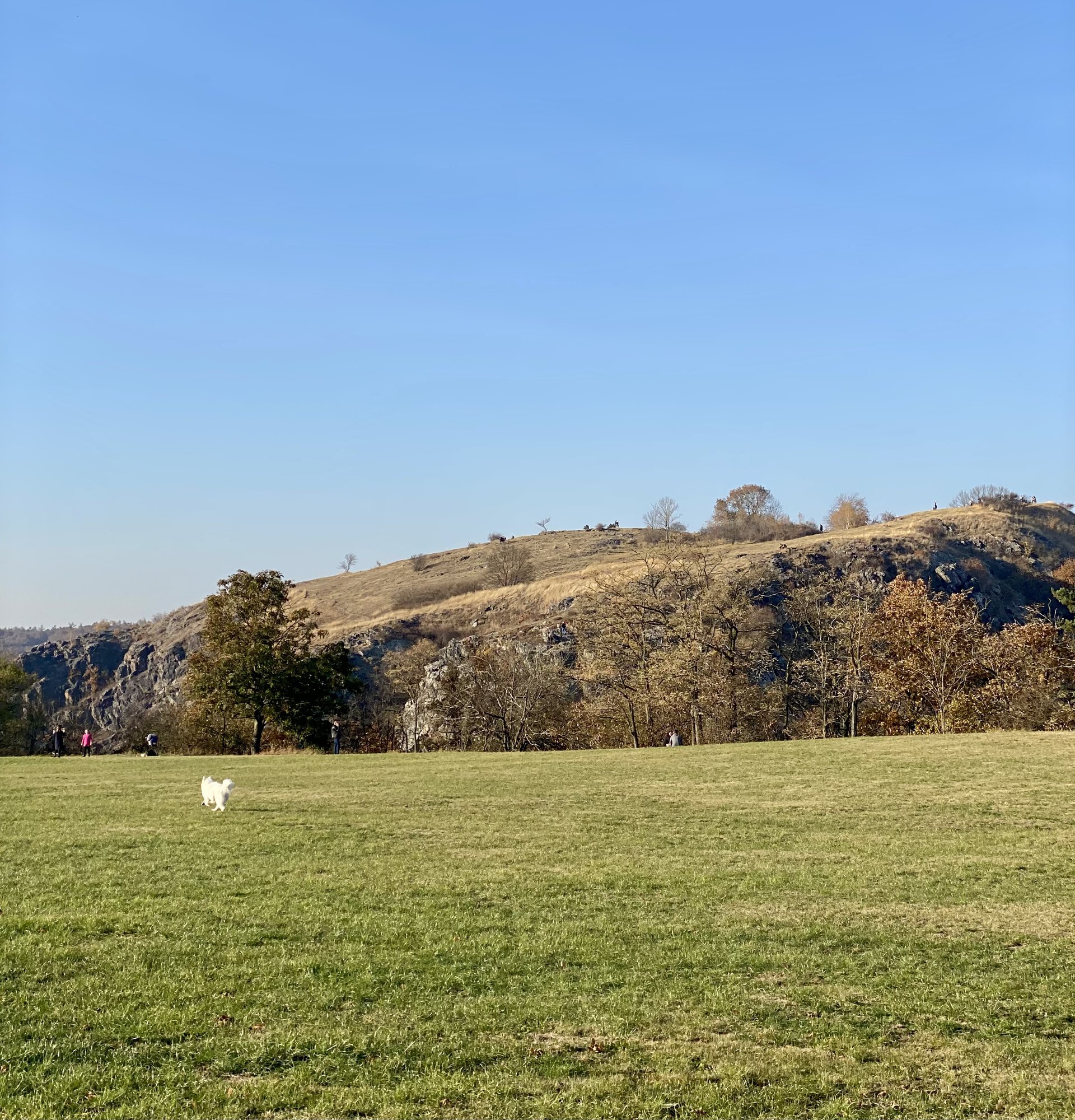 Divoká Šárka - Vyhlídky