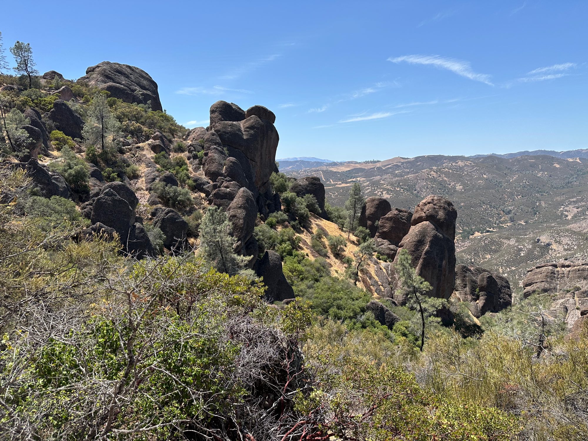 Condor Gulch