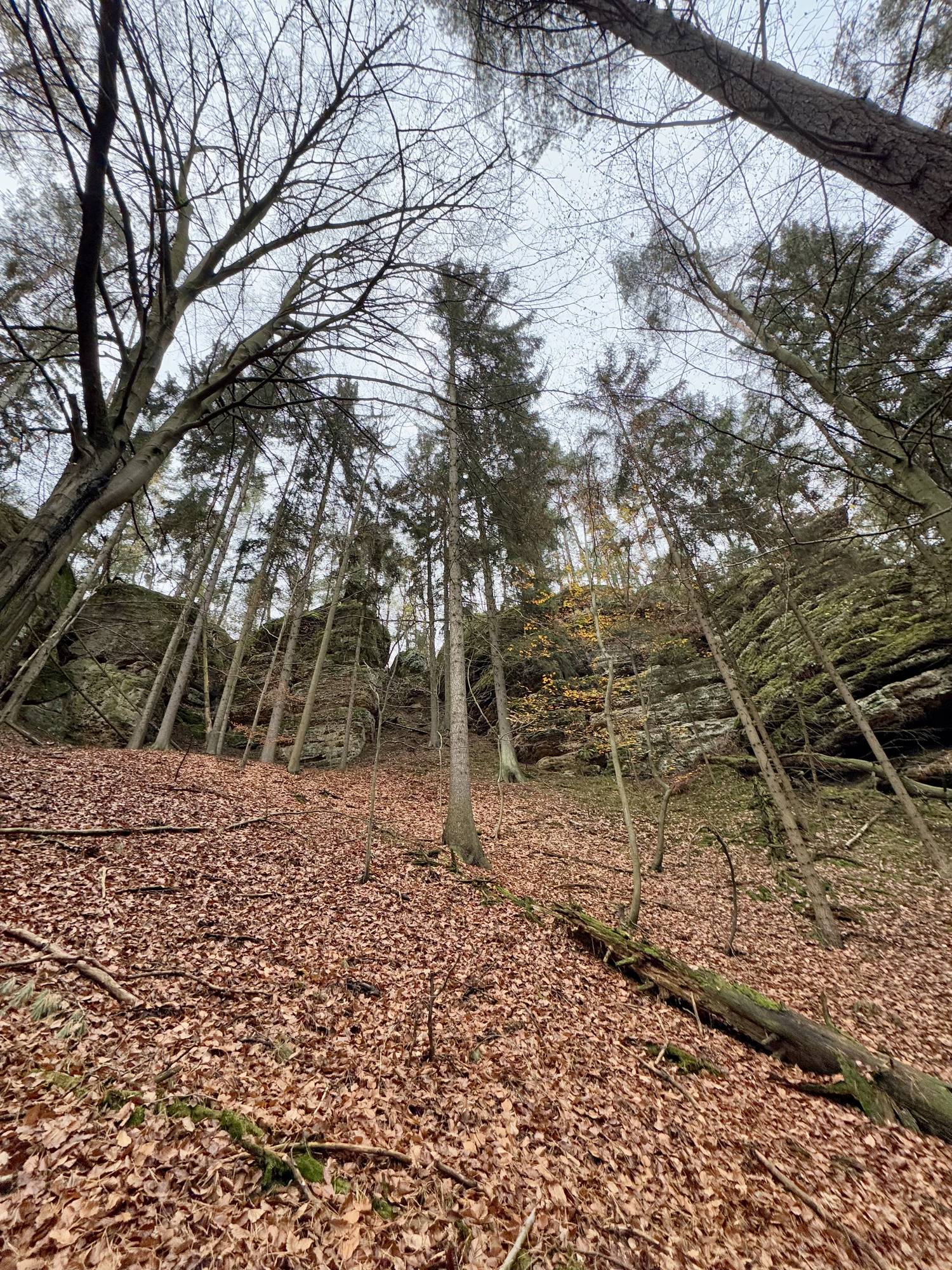 Z Pokliček na Jestřebici