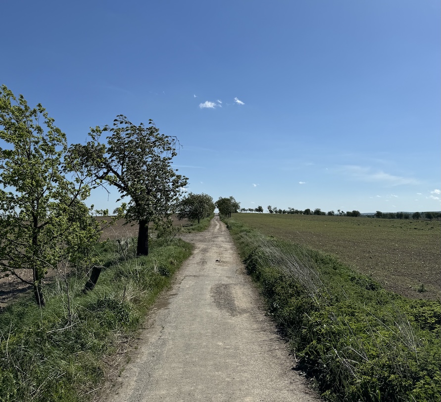 Přírodní park Říčanka