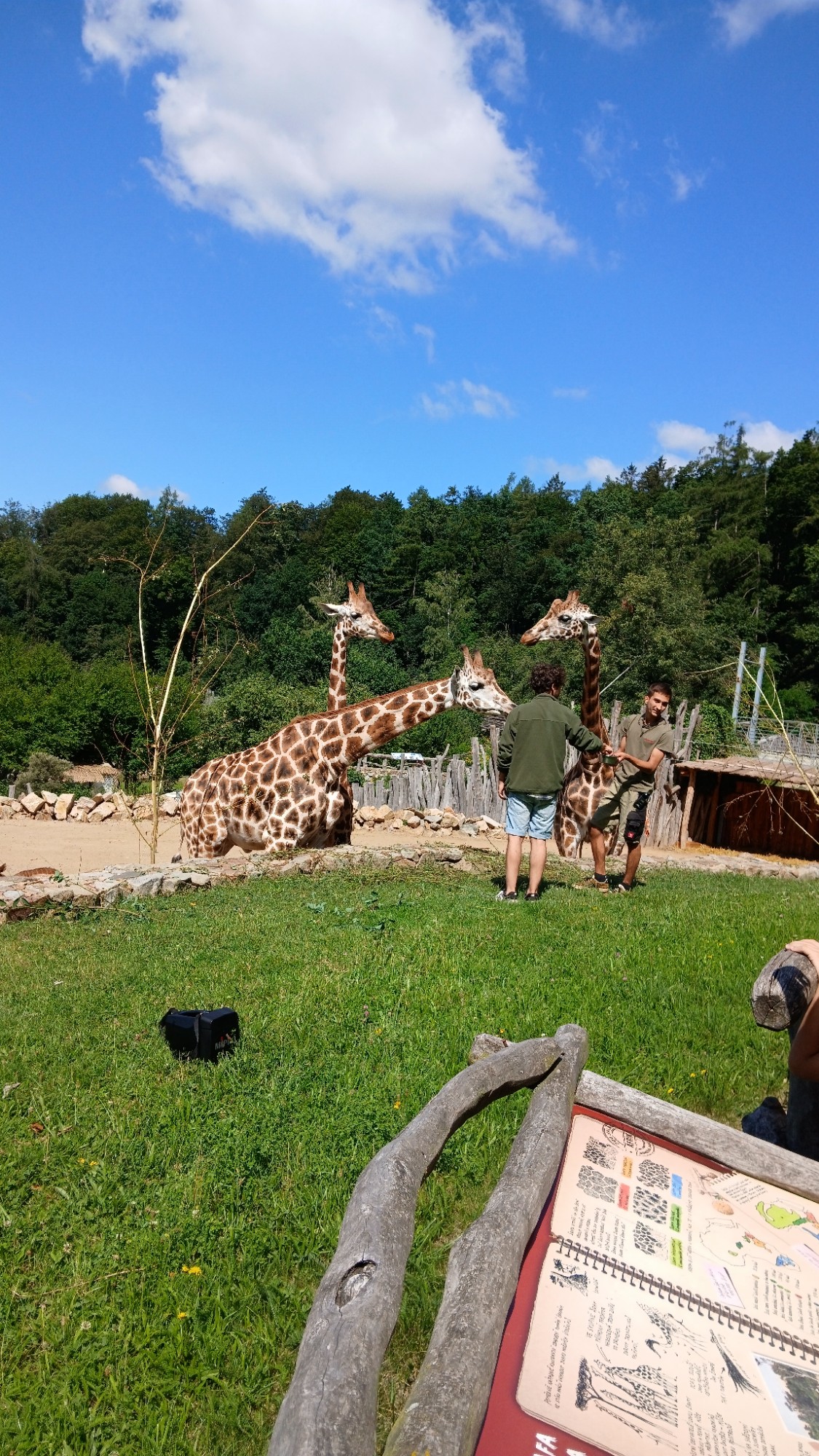 Zoo Jihlava a Březinovy sady z Hradební