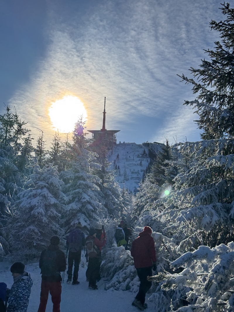 Lysá z Ostravice